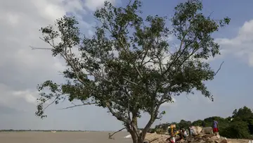 up flood