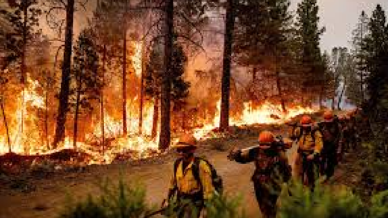 us forest fire 