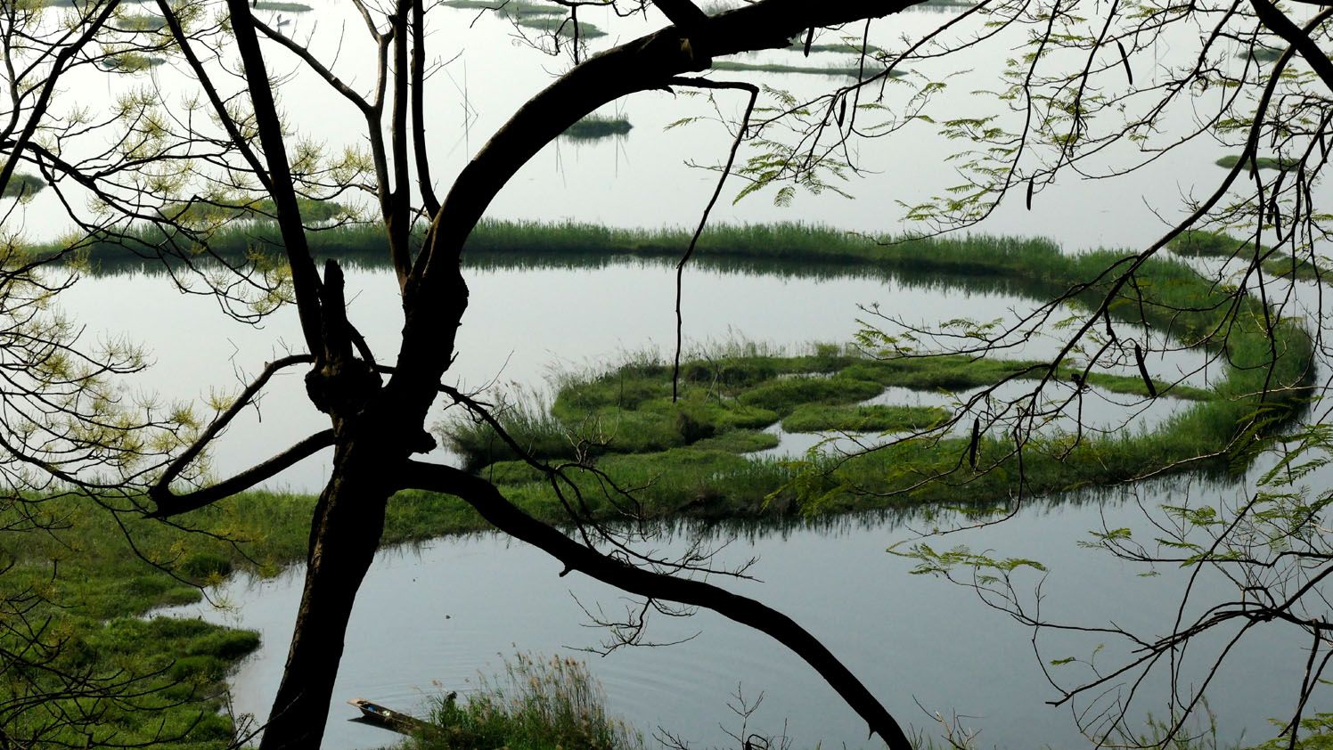 ലോക്‌ടാക് തടാകത്തിലെ ഫുംദികൾ