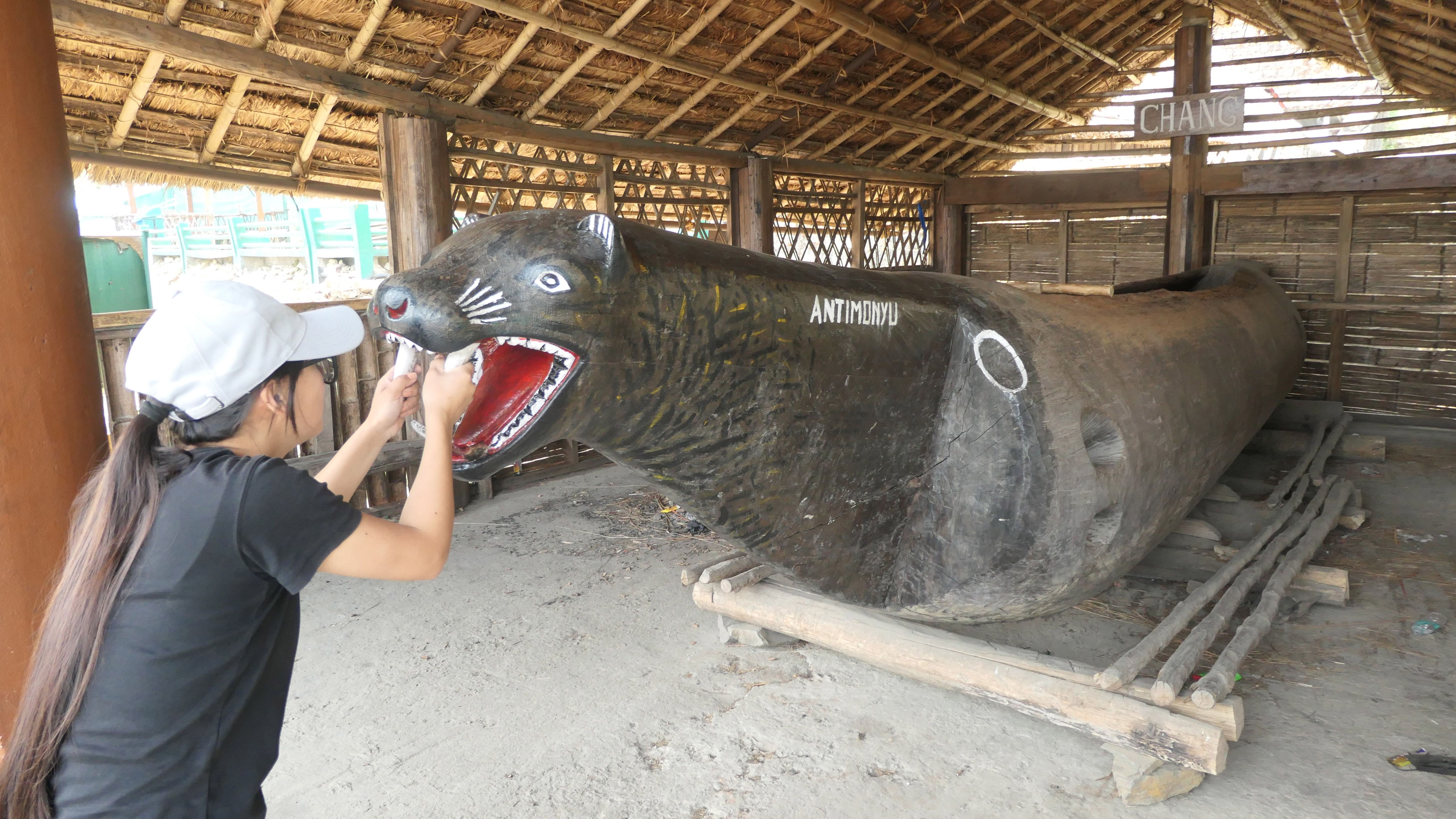 ബിൻടുറോങ്ങിന്റെ മുഖമുള്ള സുങ് കോങ്ങിന്‌ മുന്നിൽ ഗൈഡ്‌ ആനോ