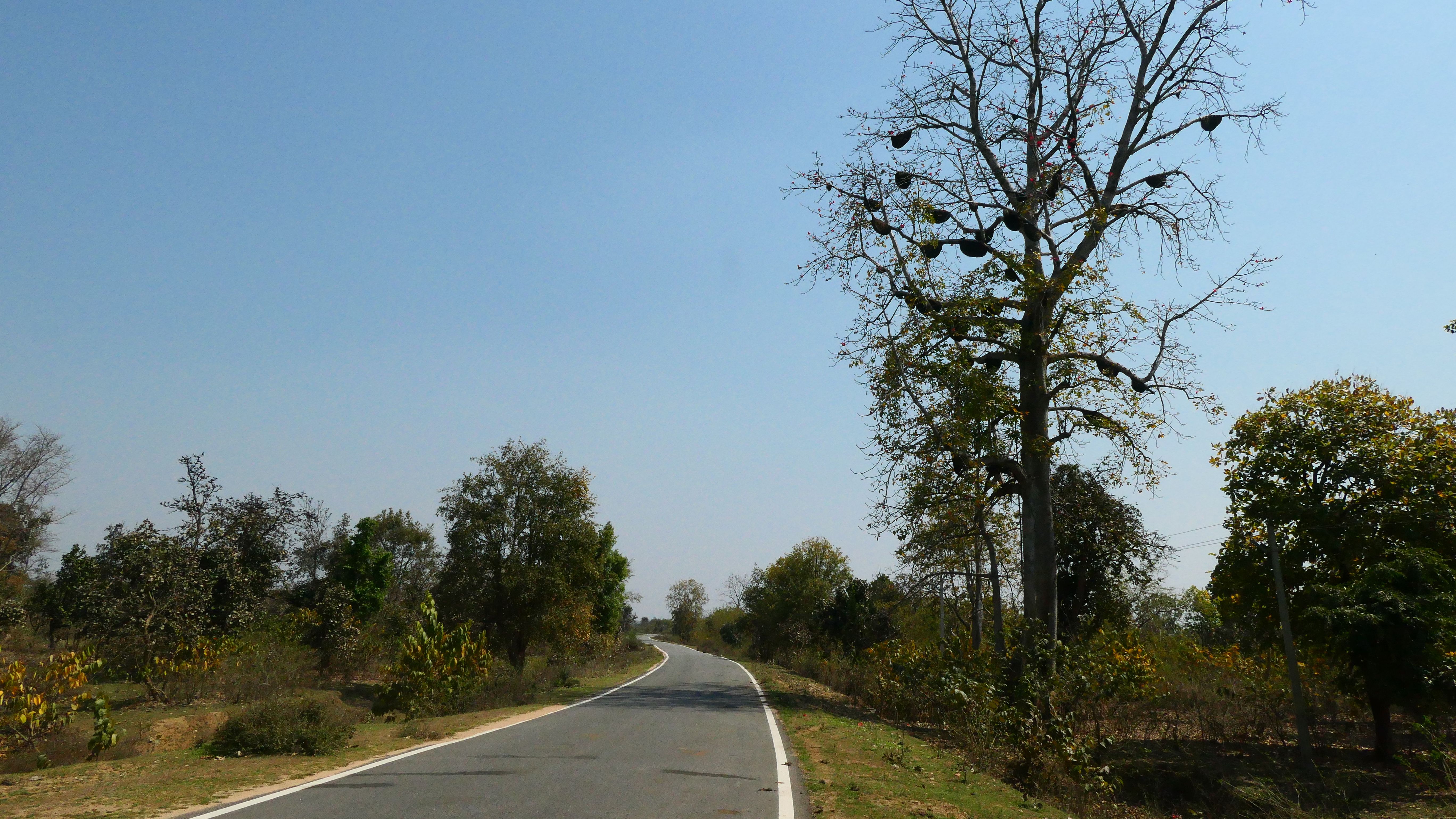 യാത്രാമധ്യേ