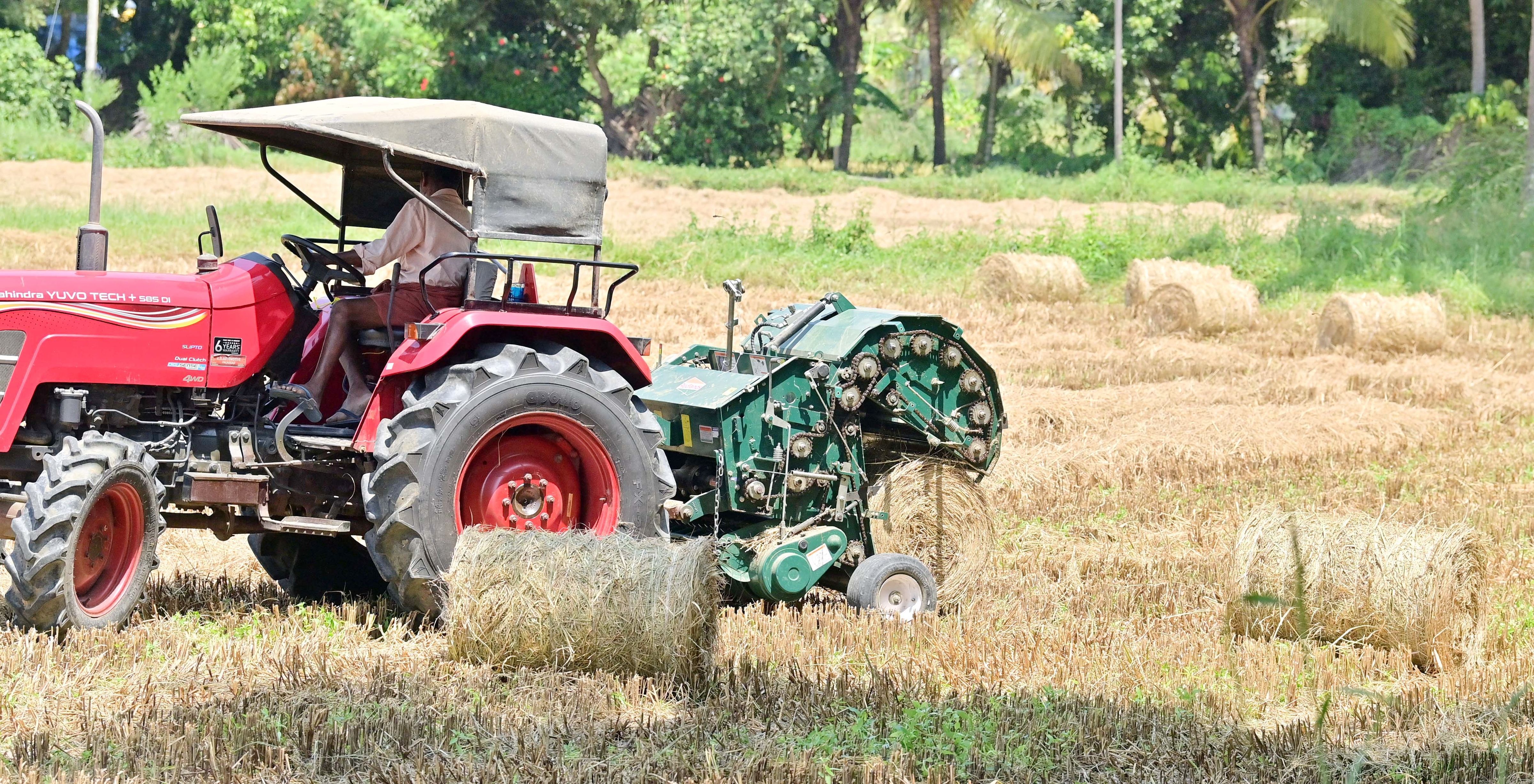 തസ്രാക്ക് കൊയ‍്ത്ത് കഴിഞ്ഞ വയലിലെ വൈക്കോൽ ചുരുട്ടിയെടുക്കുന്നു