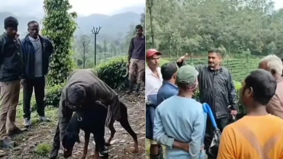 valparai search for child