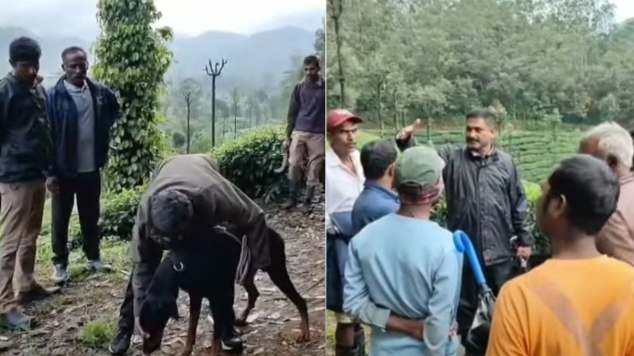 valparai search for child