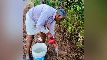 valsan tree planting