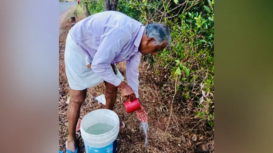 valsan tree planting
