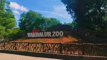 vandalur zoo