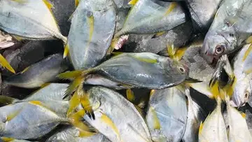 Food poison