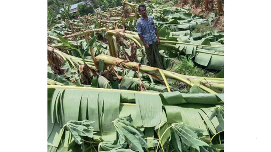 Crop damage