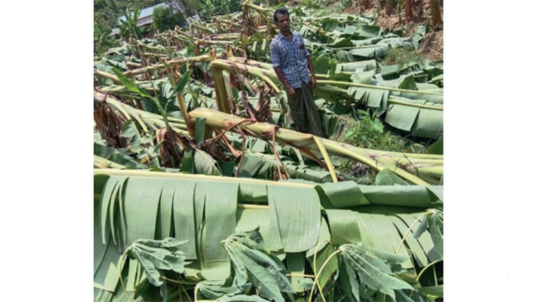 Crop damage
