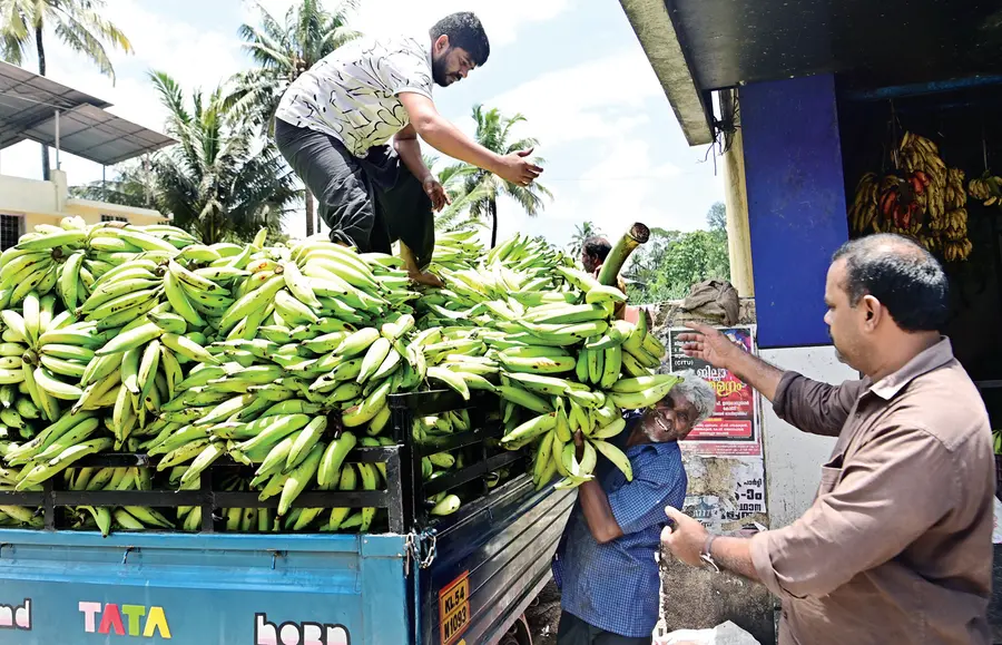 ഏത്തയ്ക്ക