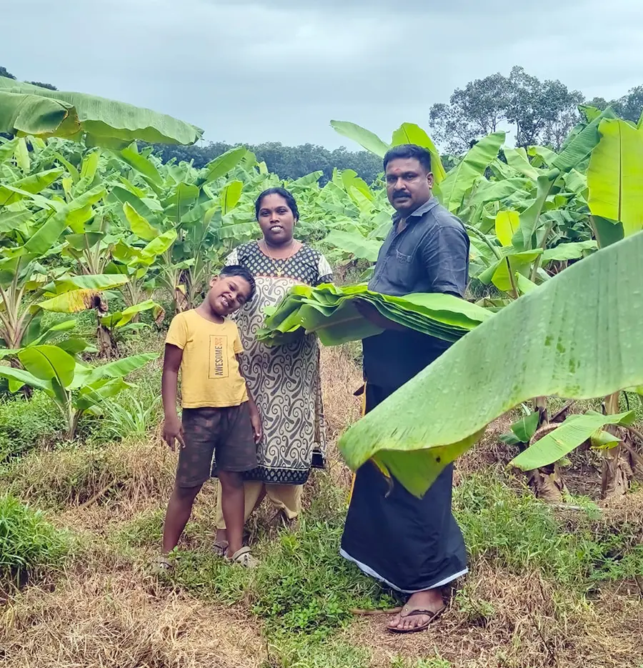 സുരേഷും കുടുംബവും വാഴത്തോട്ടത്തിൽ 