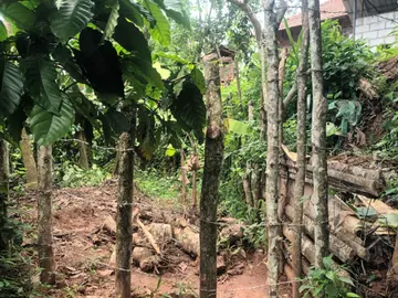 ആത്മഹത്യ