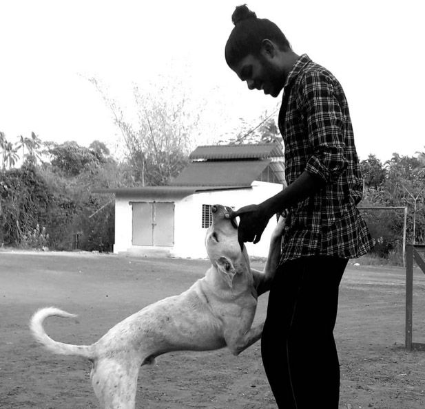 vedan pet