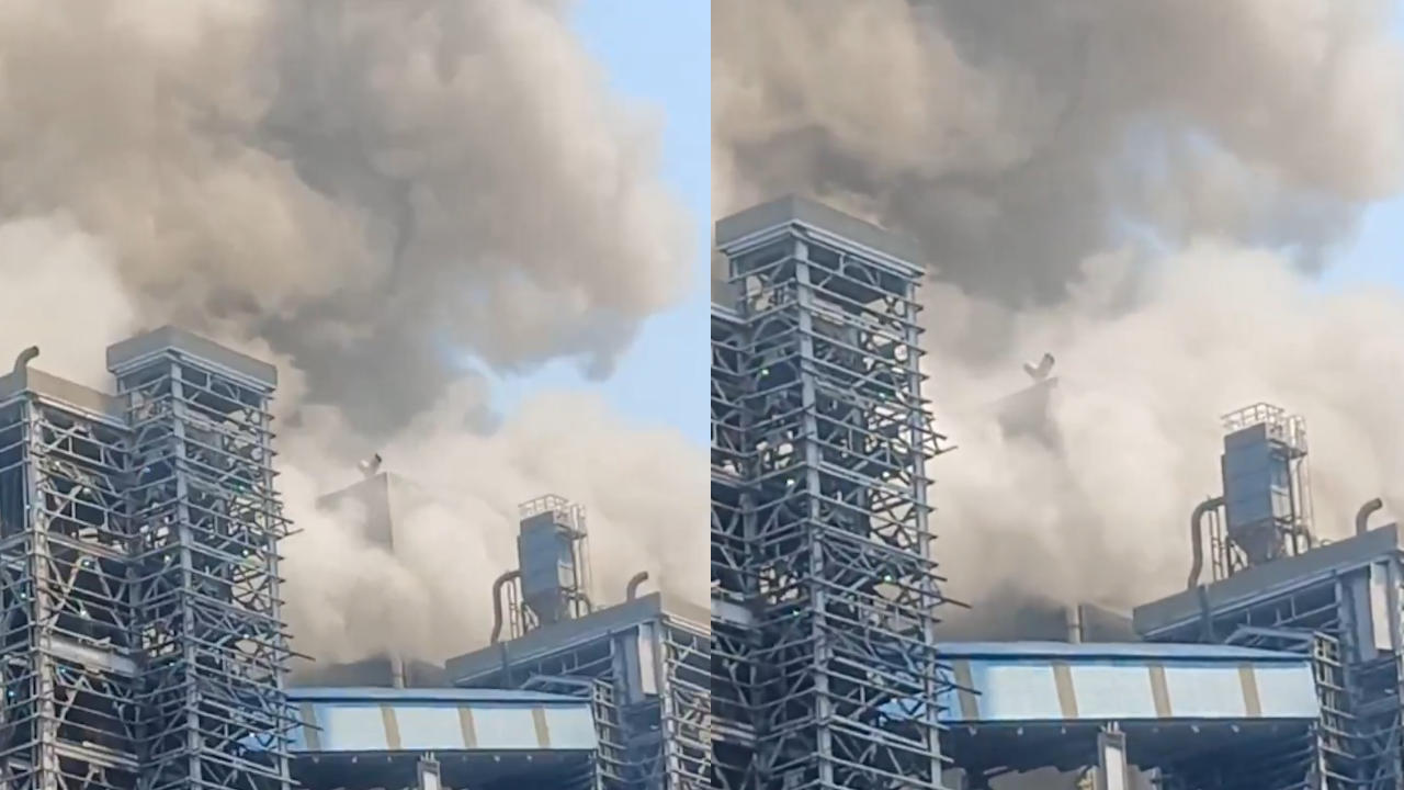 vedanta plant