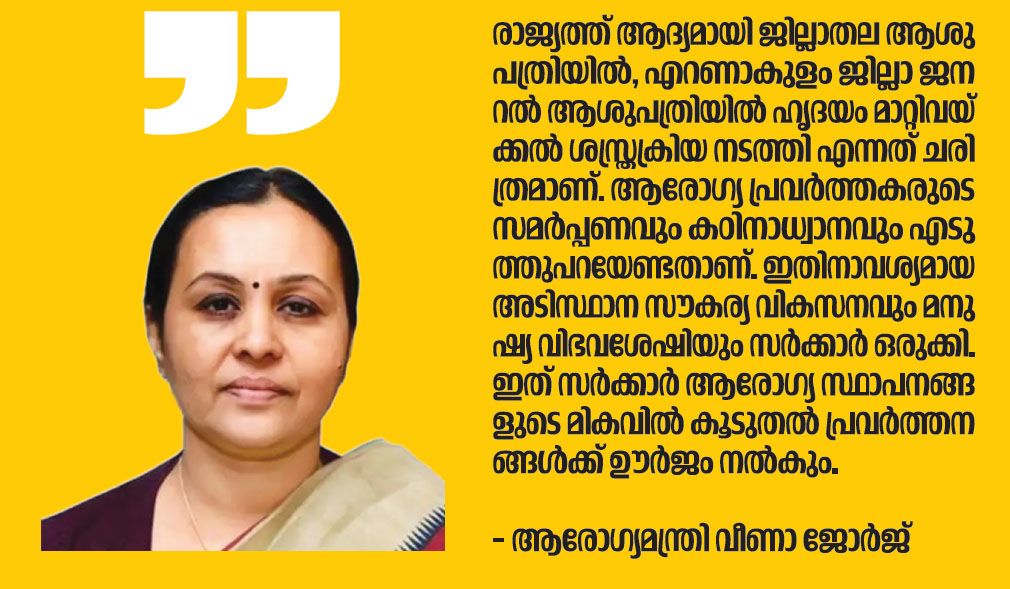 veena