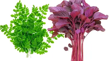 veg