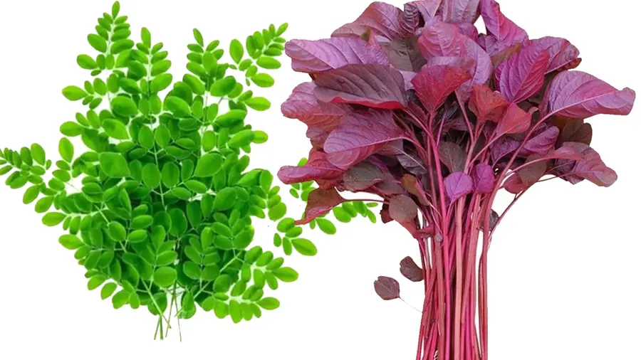 veg