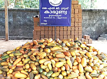 vellari