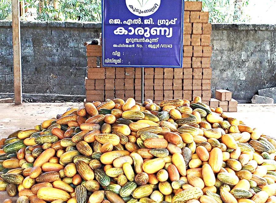 vellari