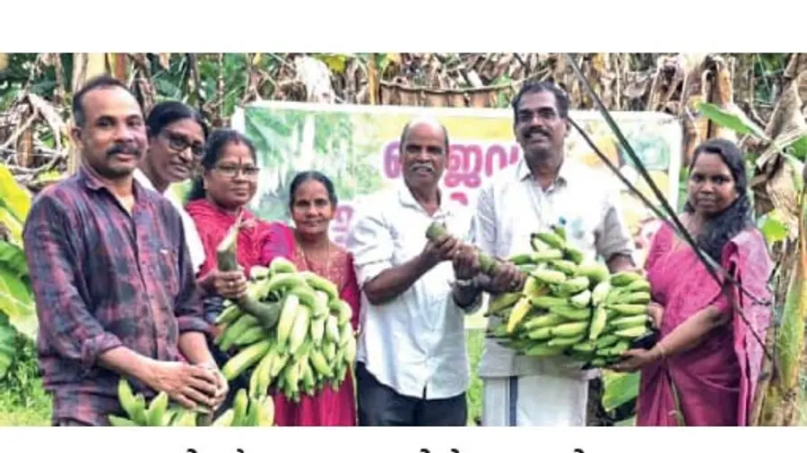 vennala bank