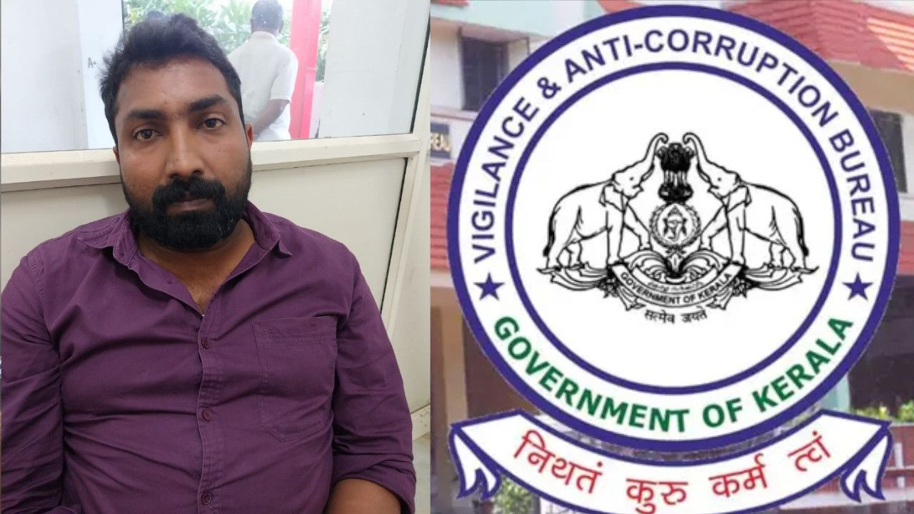 vigilance arrest.jpg