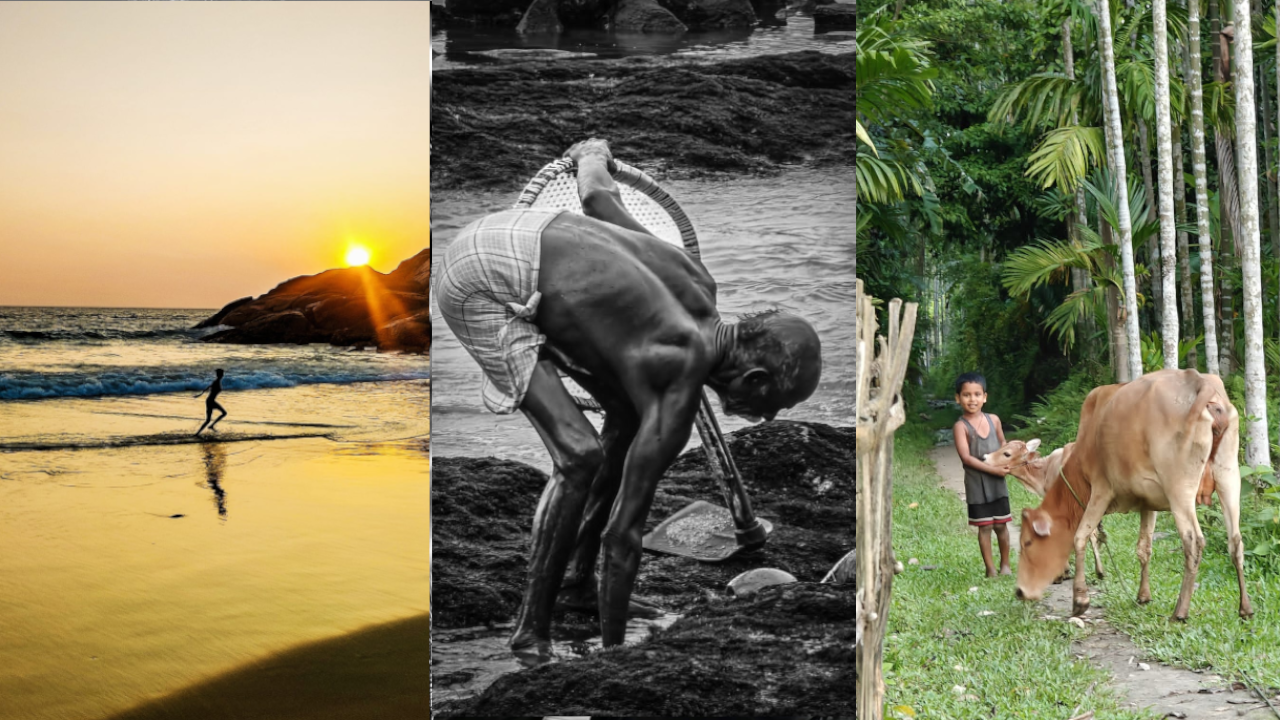 vijoo monochormes 06.png