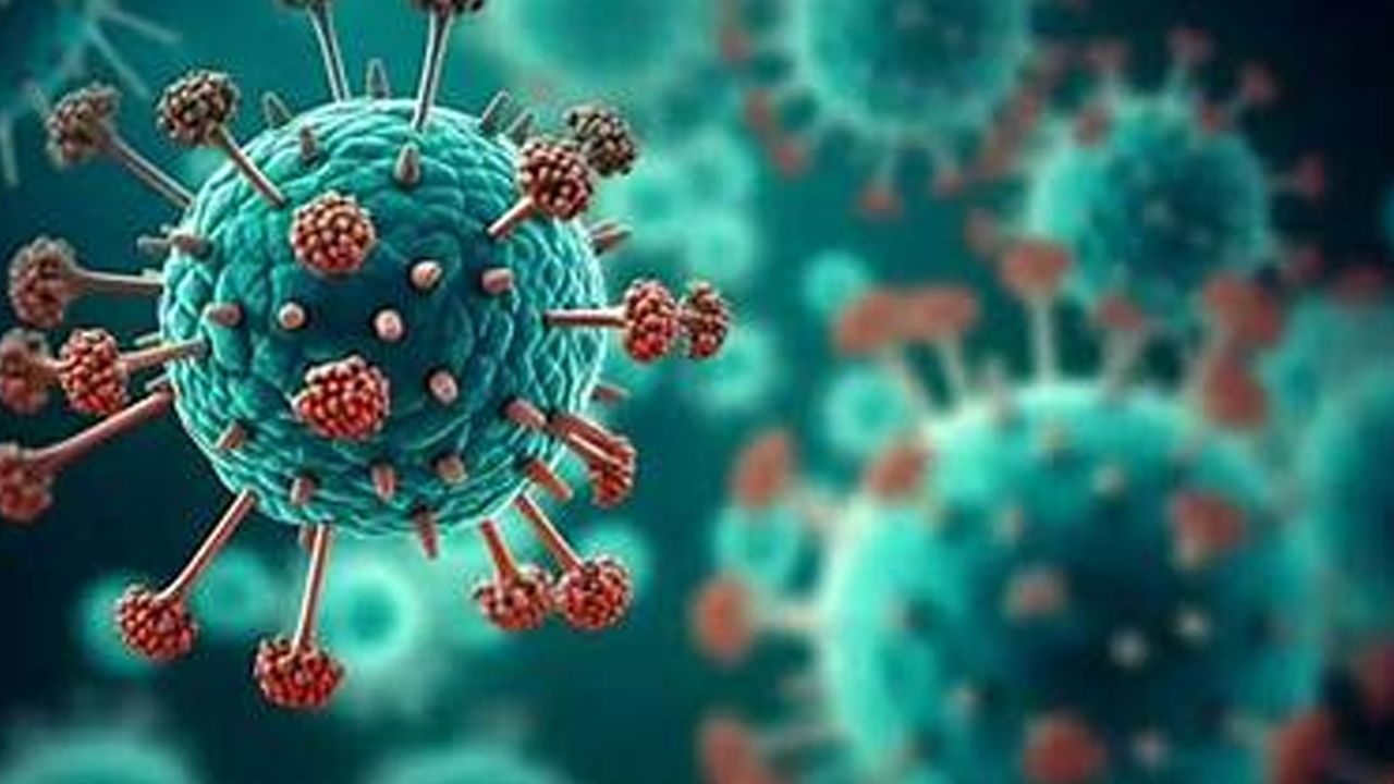 virus