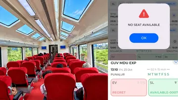 vistadom coach ticket full