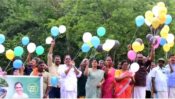 vith parava