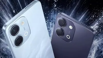 vivo
