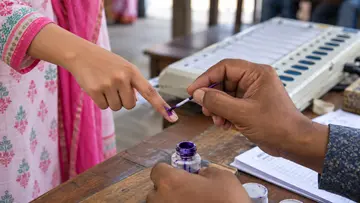 vote ink