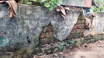 wall