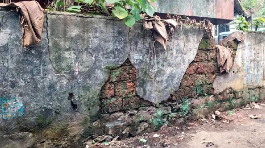 wall