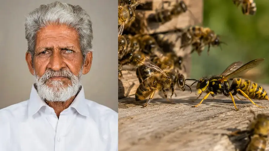 Wasp Attack