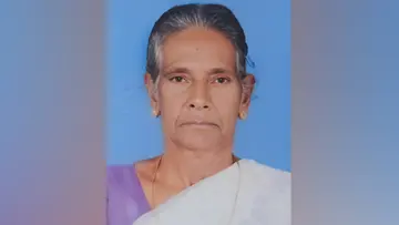 wasp attack woman died