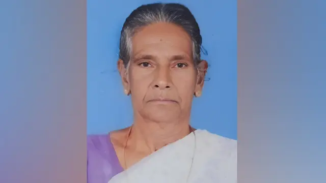 wasp attack woman died