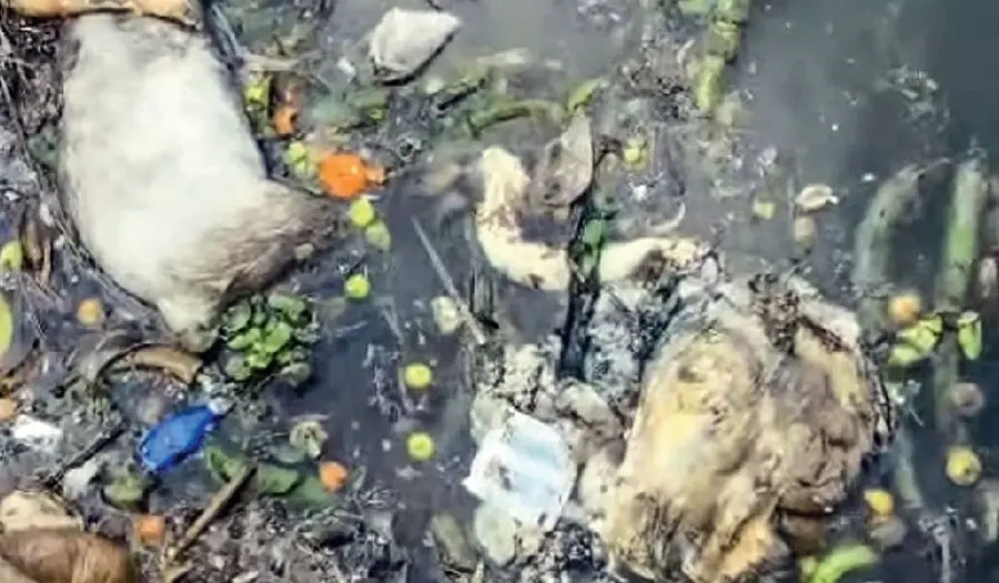 waste