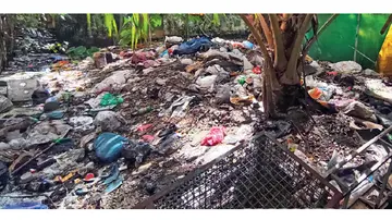 waste