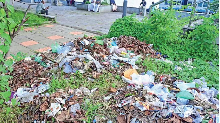 waste