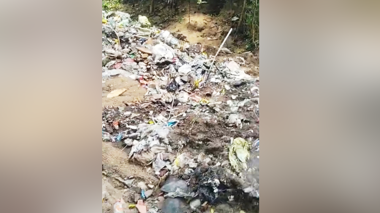 Waste Management 