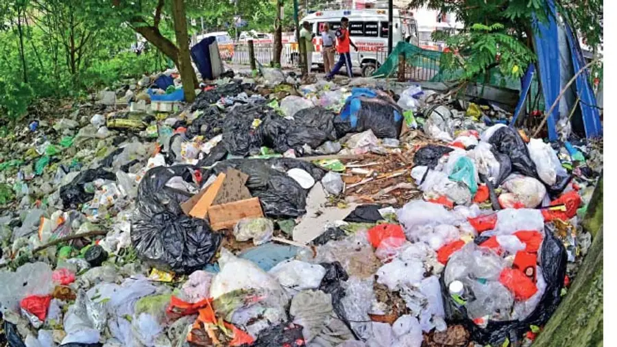 waste