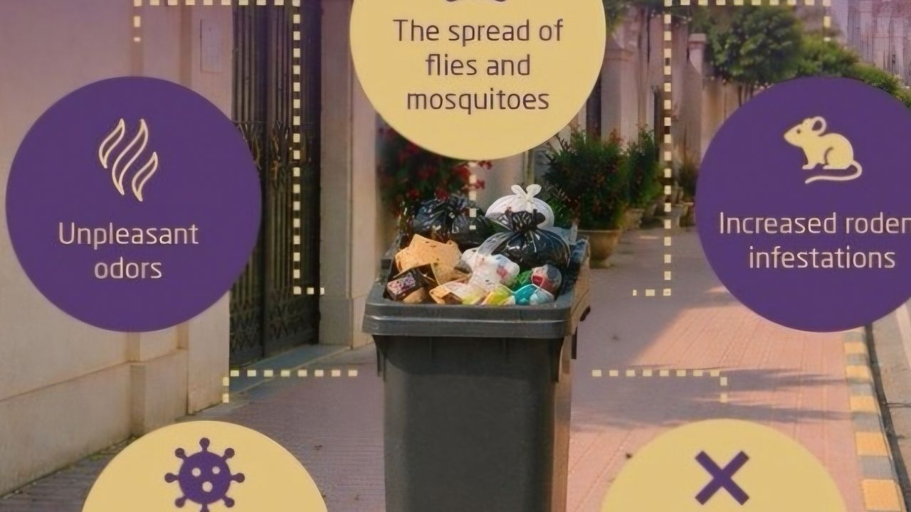waste bin