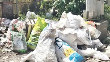 waste