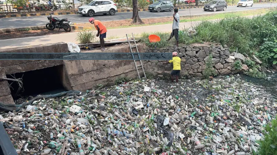 Waste Management