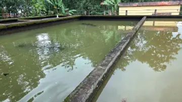 water