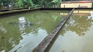 water