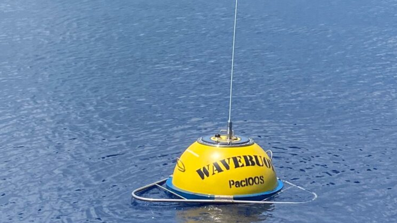 wave rider buoy.