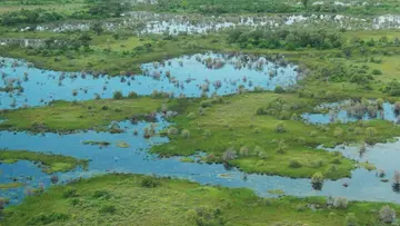 wetlands