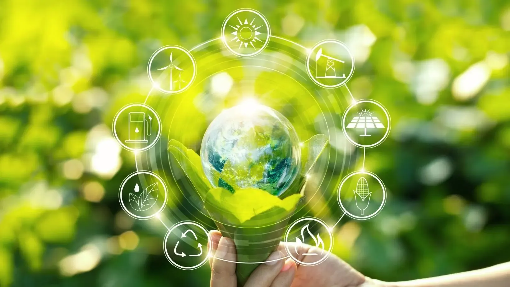 what-is-sustainable-agriculture